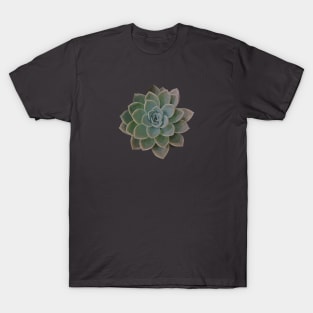 Low Poly Green Succulent T-Shirt